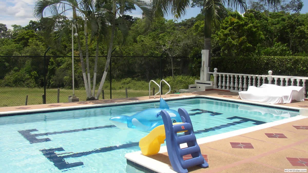 3_piscina_bosque
