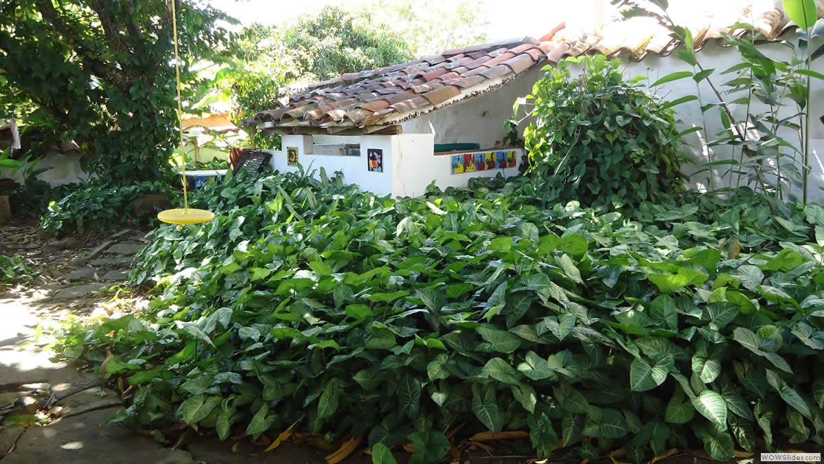 Fincas aire puro