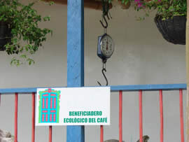 Ver imagen ampliada
