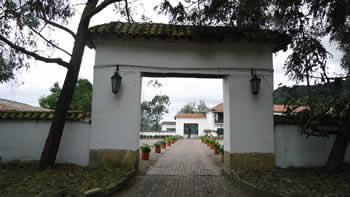 Ver foto ampliada