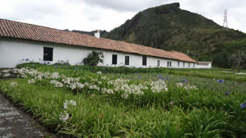 Ver foto ampliada