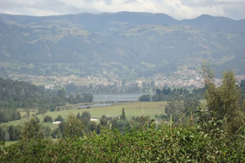 Ver imagen ampliada