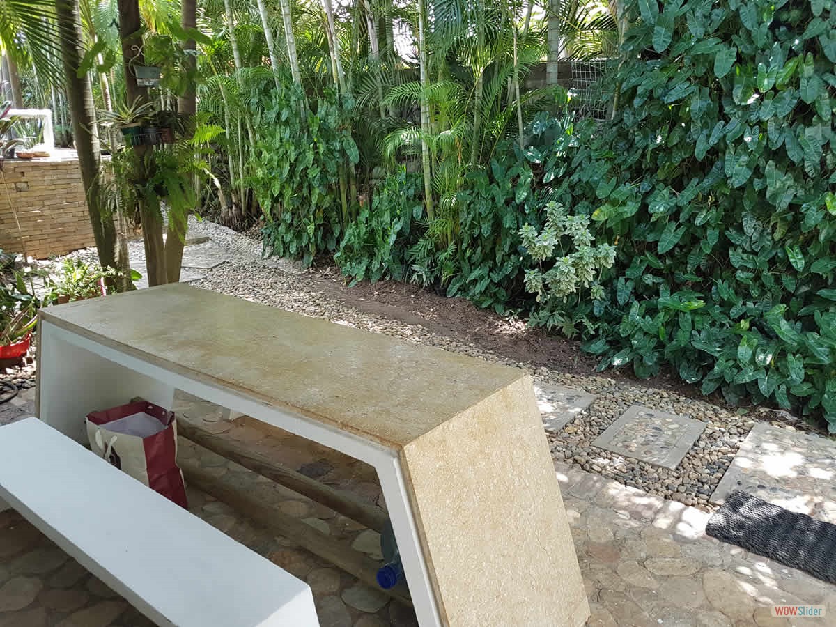 13_jardin