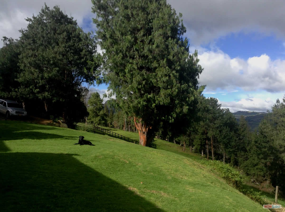 5-jardin